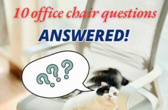 10 Common Office Chair Questions, Answered!