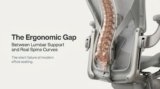 Lumbar Support vs. Real Spine Curves